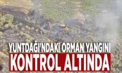 Yuntdağı'ndaki orman yangını kontrol altında