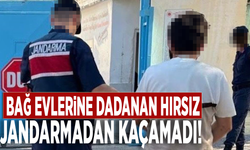 Bağ evlerine dadanan hırsız jandarmadan kaçamadı