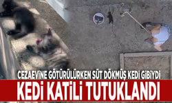 Cezaevine götürülürken süt dökmüş kedi gibiydi: KEDİ KATİLİ TUTUKLANDI