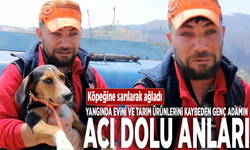 Yangında evini ve tarım ürünlerini kaybeden genç adamın acı dolu anları: Köpeğine sarılarak ağladı