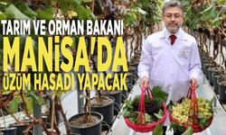 Tarım ve Orman Bakanı Manisa'da üzüm hasadı yapacak