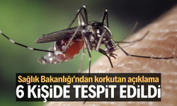 Sağlık Bakanlığı'ndan Batı Nil Virüsü açıklaması: 6 kişide tespit edildi