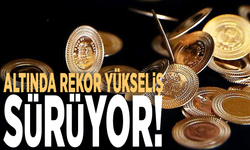 Altında rekor yükseliş sürüyor!