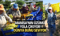 MANİSA'NIN ÜZÜMÜ... DÜNYA BU LEZZETİ SEVİYOR