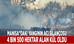 Manisa'daki yangının acı bilançosu: 4 bin 500 hektar alan kül oldu