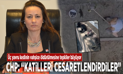 Üç yavru kedinin vahşice öldürülmesine tepkiler büyüyor...CHP: “Katilleri cesaretlendirdiler”