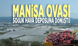 Manisa ovası soğuk hava deposuna dönüştü