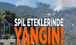 Spil Dağı eteklerinde yangın!