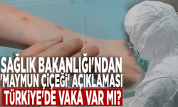 Sağlık Bakanlığı'ndan 'maymun çiçeği' açıklaması: Türkiye'de vaka var mı?