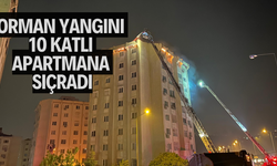 Orman yangını 10 katlı apartmana sıçradı