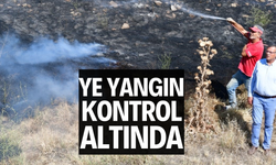 Manisa’daki orman yangını kontrol altına alındı
