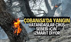 Vatandaşlar yangının çıkış sebebi için izmarit dİyor