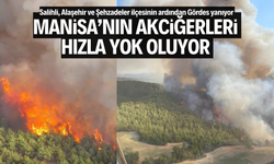 Gördes’teki orman yangınına müdahale sürüyor