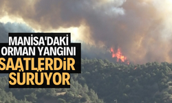 Manisa'daki orman yangını 8 saattir sürüyor