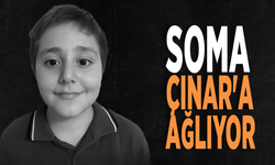 Soma Çınar'a ağlıyor