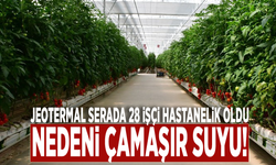 Jeotermal serada 28 işçi hastanelik oldu