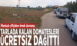 Manisalı çiftçiden örnek davranış: Tarlada kalan domatesleri ücretsiz dağıttı