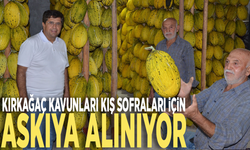 Kırkağaç kavunları kış sofraları için askıya alınıyor