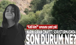 "Katil kim?" sorusuna yanıt yok! Narin Güran cinayeti soruşturmasında son durum ne?