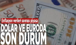 Enflasyon verileri sonrası piyasa: Dolar ve euroda son durum