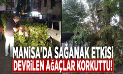 Manisa'da sağanak etkisi: Devrilen ağaçlar korkuttu