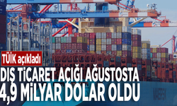 TÜİK açıkladı: Dış ticaret açığı ağustosta 4,9 milyar dolar oldu