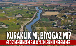 Kuraklık mı, biyogaz mı? Gediz Nehri'ndeki balık ölümlerinin nedeni ne?