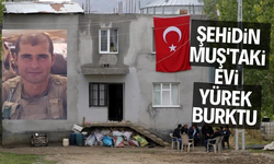 Şehidin Muş'taki evi yürek burktu