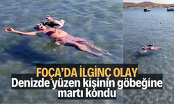 Foça’da ilginç olay: Denizde yüzen kişinin göbeğine martı kondu