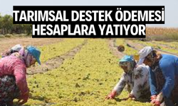 Tarımsal destek ödemesi hesaplara yatıyor