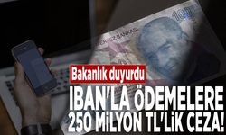 Bakanlık duyurdu: IBAN'la ödemelere 250 milyon TL'lik ceza!