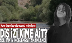 Narin cinayeti soruşturmasında yeni gelişme: Diş izi kime ait? Adli Tıp'ın incelemesi tamamlandı