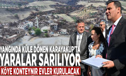 Yangında küle dönen Karayakup'ta yaralar sarılıyor: Köye konteynır evler kurulacak