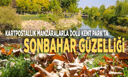 Kartpostallık manzaralarla dolu Kent Park'ta sonbahar güzelliği