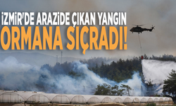 İzmir'de arazide çıkan yangın ormana sıçradı!