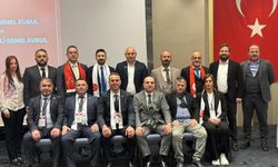 Türkiye Taekwondo Federasyon Başkanı Tanrıkulu oldu