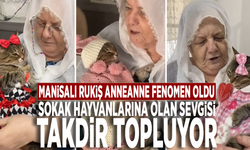 Manisalı Rukiş anneanne fenomen oldu: Sokak hayvanlarına olan sevgisi takdir topluyor