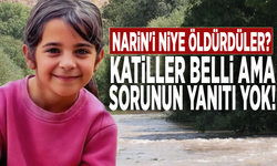 Katiller belli ama sorunun yanıtı yok: Narin'i niye öldürdüler?