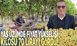 Yaş üzümde fiyat yükselişi: Kilosu 70 lirayı gördü!