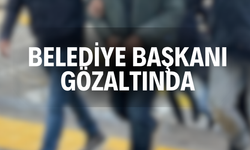 Belediye Başkanı gözaltında