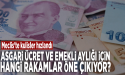 Asgari ücret ve emekli aylığı için hangi rakamlar öne çıkıyor?