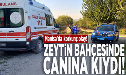 Manisa'da korkunç olay! Zeytin bahçesinde canına kıydı