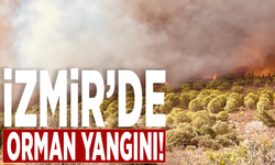 İzmir Foça’da orman yangını!