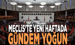 Meclis'te yeni haftada gündem yoğun