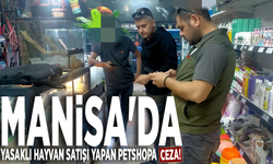 Manisa'da yasaklı hayvan satışı yapan petshopa ceza!