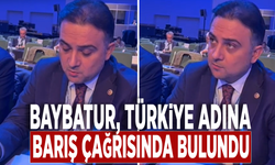 Baybatur, Türkiye adına barış çağrısında bulundu