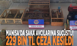 Manisa'da saka avcılarına suçüstü! 229 bin TL ceza kesildi