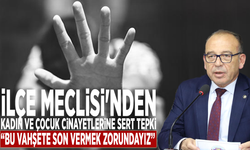 İlçe Meclisi'nden kadın ve çocuk cinayetlerine sert tepki: “Bu vahşete son vermek zorundayız”