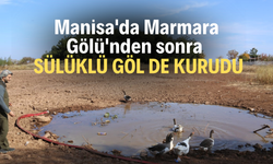 Manisa'da Marmara Gölü'nden sonra Sülüklü Göl de kurudu