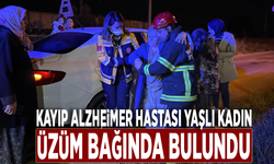 Kayıp Alzheimer hastası yaşlı kadın üzüm bağında bulundu